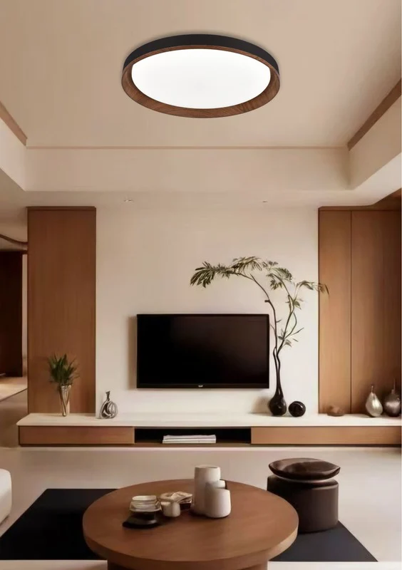 ArtELux Ceiling Light ALC-5007 thumbnail 2