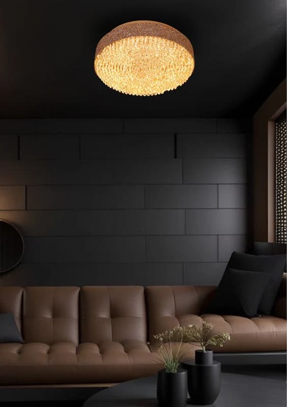 ArtELux Ceiling Light ALC-6213, view 1